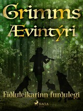 Fiðluleikarinn furðulegi