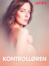 Kontrolløren - erotiske noveller