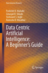 Data Centric Artificial Intelligence: A Beginner's Guide