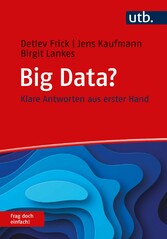 Big Data? Frag doch einfach!