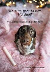 Wo bitte geht es zum Nordpol?