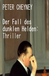 Der Fall des dunklen Helden: Thriller