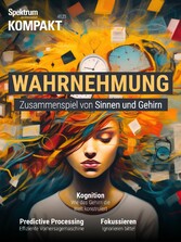 Spektrum Kompakt - Wahrnehmung