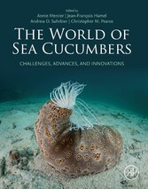 The World of Sea Cucumbers