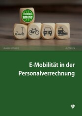 E-Mobilität in der Personalverrechnung