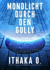 Mondlicht durch den Gully