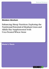 Enhancing Sheep Nutrition. Exploring the Nutritional Potential of Elephant Grass and Alfalfa Hay Supplemented with Urea-Treated Wheat Straw