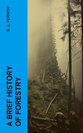 A Brief History of Forestry