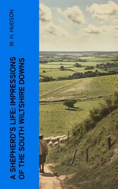 A Shepherd's Life: Impressions of the South Wiltshire Downs