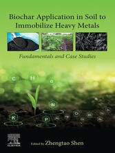 Biochar Application in Soil to Immobilize Heavy Metals