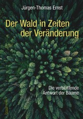 Der Wald in Zeiten der Veränderung