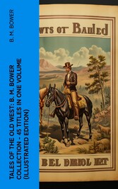 Tales of the Old West: B. M. Bower Collection - 45 Titles in One Volume (Illustrated Edition)