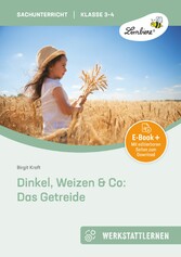 Dinkel, Weizen & Co: Das Getreide