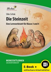 Die Steinzeit