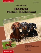 Traumrasse: Dackel Teckel Dachshund