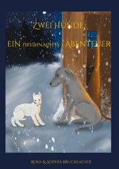 Zwei Hunde ein (weihnachts-) Abenteuer