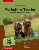 Traumrasse: Yorkshire Terrier