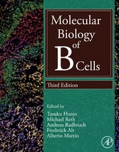 Molecular Biology of B Cells