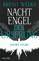 Nachtengel - Der Ursprung