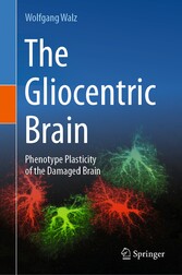 The Gliocentric Brain