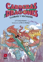 Carreras de dragones