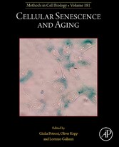 Cellular Senescence and Aging