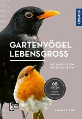 Gartenvögel lebensgroß