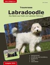 Traumrasse: Labradoodle