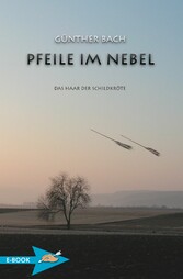 Pfeile Im Nebel