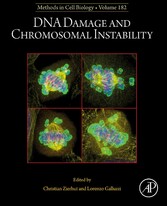 DNA Damage and Chromosomal Instability