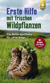 Erste Hilfe mit frischen Wildpflanzen