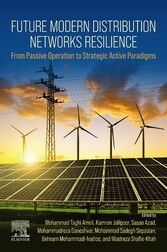 Future Modern Distribution Networks Resilience