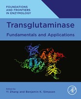 Transglutaminase