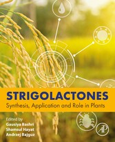 Strigolactones