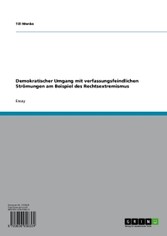 Demokratischer Umgang mit verfassungsfeindlichen Strömungen am Beispiel des Rechtsextremismus