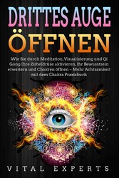 DRITTES AUGE ÖFFNEN: Wie Sie durch Meditation, Visualisierung und Qi Gong Ihre Zirbeldrüse aktivieren, Ihr Bewusstsein erweitern und Chakren öffnen - Mehr Achtsamkeit mit dem Chakra Praxisbuch