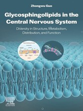 Glycosphingolipids in the Central Nervous System