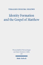 Identity Formation and the Gospel of Matthew