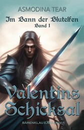 Im Bann der Blutelfen, Band 1: Valentins Schicksal