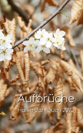 Aufbrüche