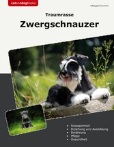 Traumrasse Zwergschnauzer