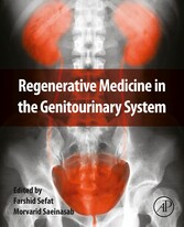 Regenerative Medicine in the Genitourinary System