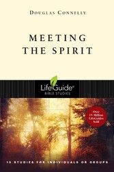 Meeting the Spirit