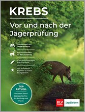 Vor und nach der Jägerprüfung - Teilausgabe Jagdhunde