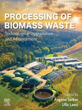 Processing of Biomass Waste