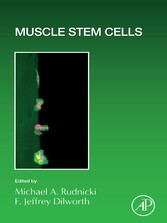 Muscle Stem Cells