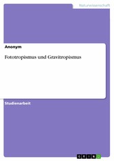 Fototropismus und Gravitropismus