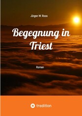 Begegnung in Triest - Ein spannender Politthriller