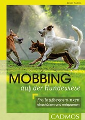 Mobbing auf der Hundwiese