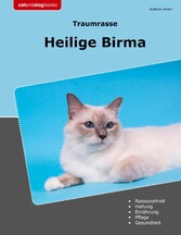 Traumrasse Heilige Birma